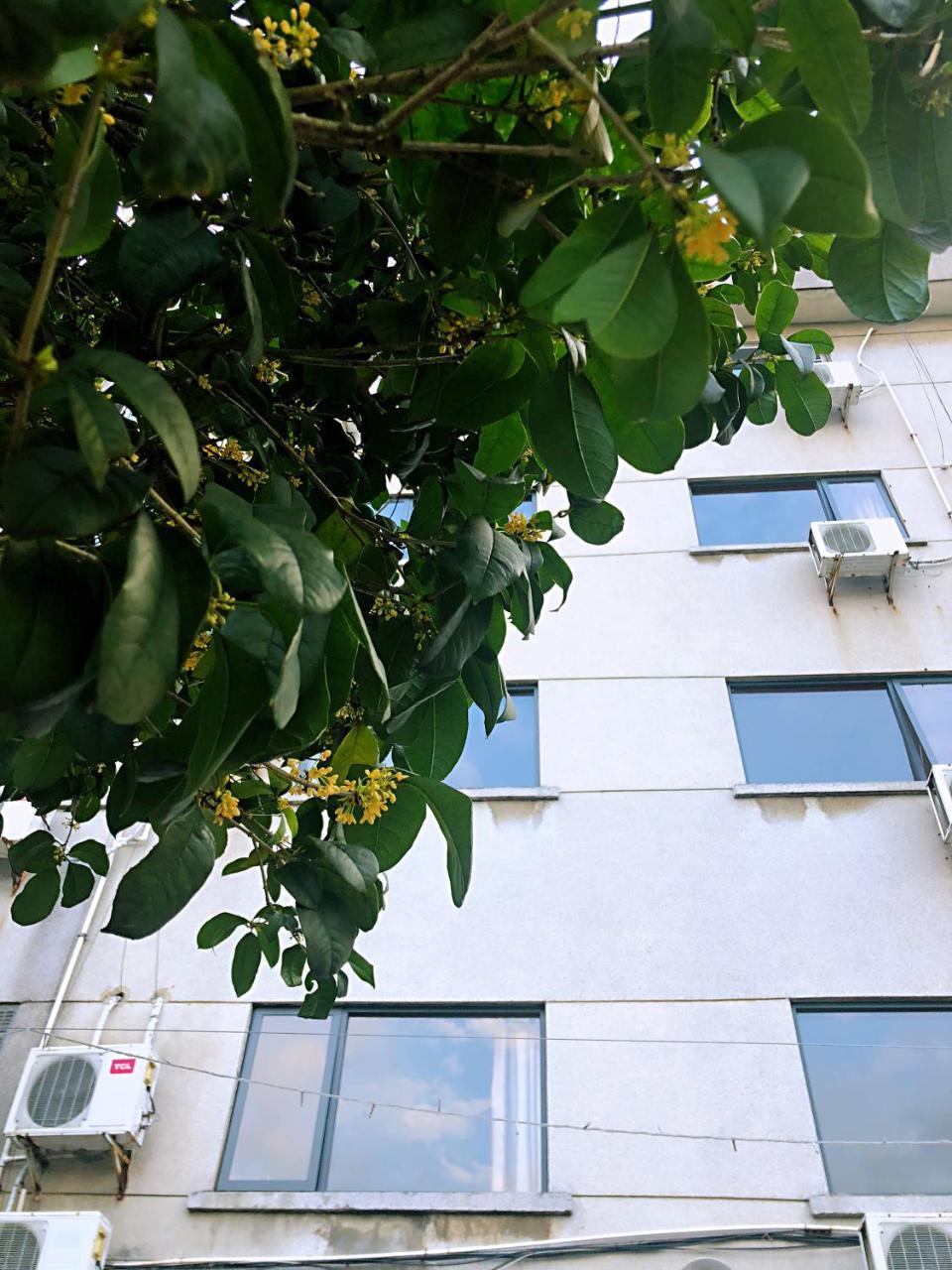 גווילין Lakeside Inn מראה חיצוני תמונה